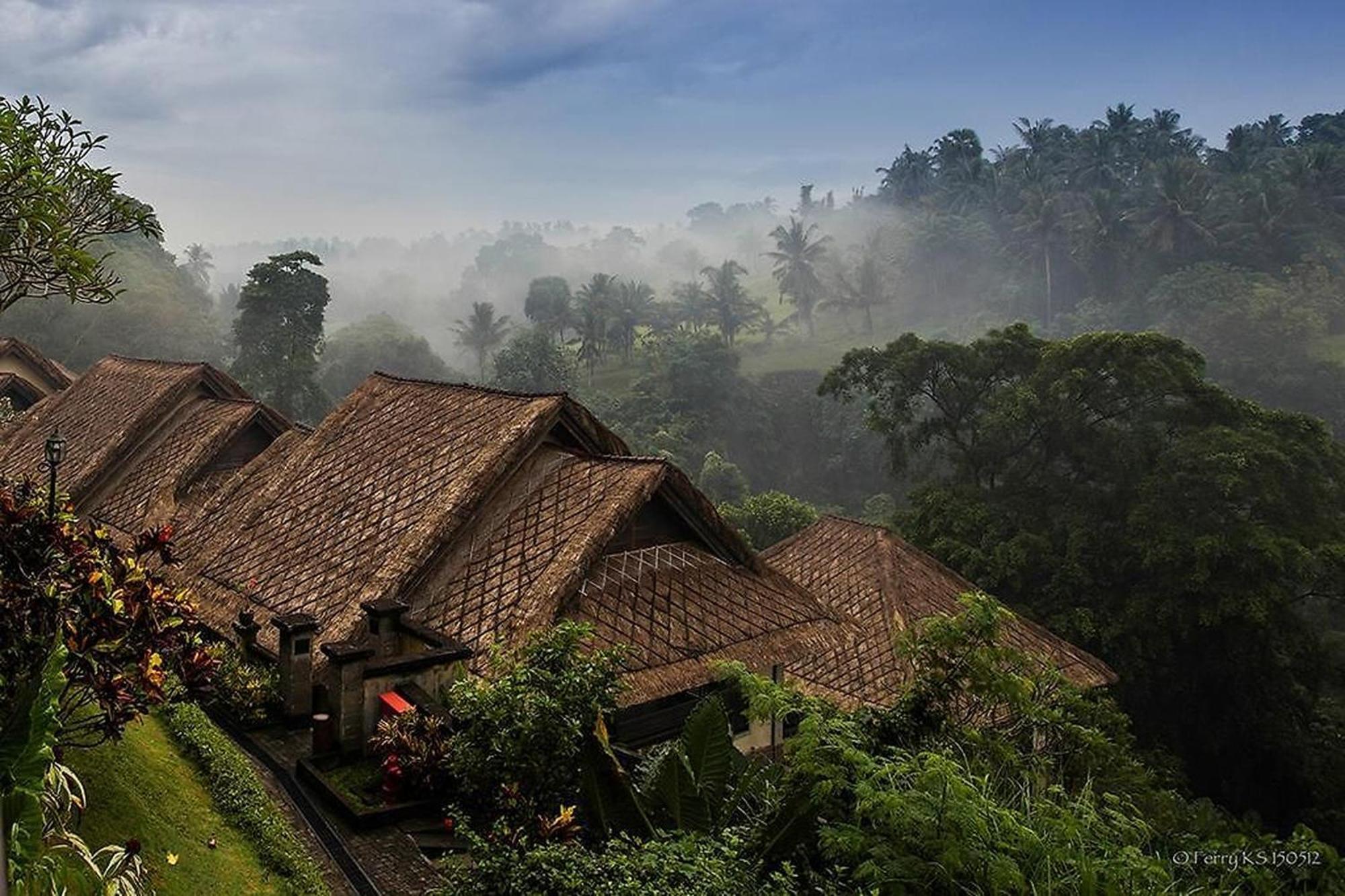 Bali Masari Villas & Spa Ubud Buitenkant foto